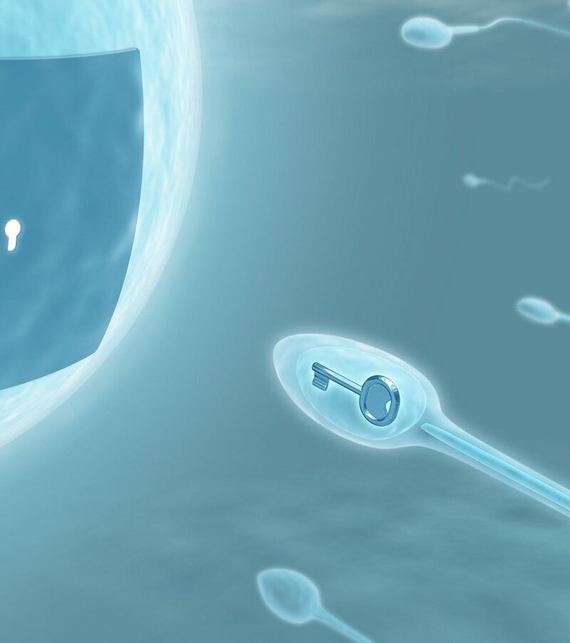 Спермограмма: основные показатели мужской фертильности