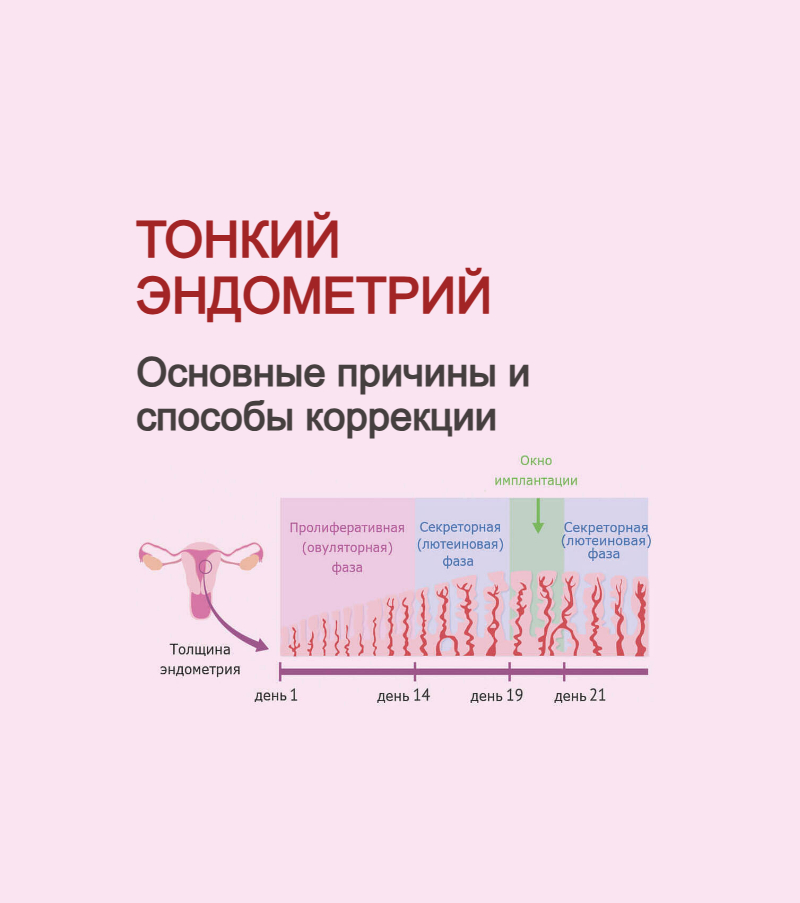 Тонкий эндометрий: причины и способы коррекции